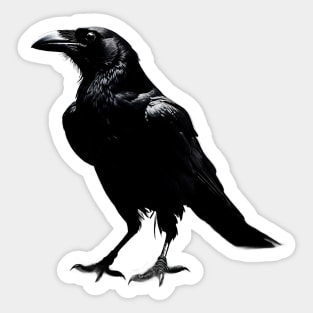 The black and shadowy Crow Sticker